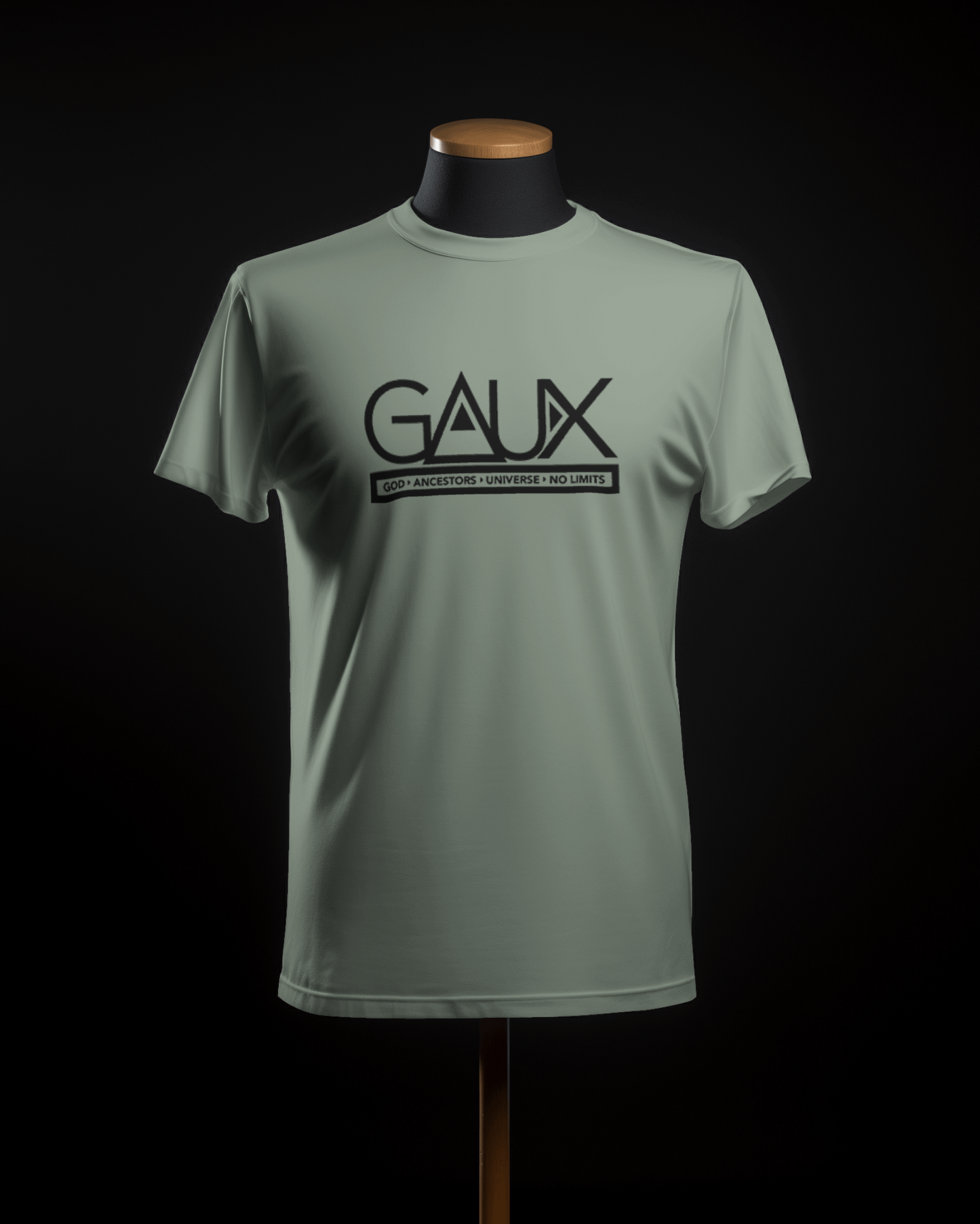 Men Black GAUX Logo Tee